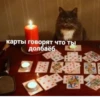 карты говорят что ты долбаёб