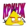 Angry Pack @angrybirdsinrussia 17