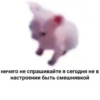 ничего не спрашивайте я сегодня не в настроении быть смешнявкой