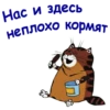 ПопYгай Кеша-1 :: @animesticks 17