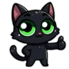 BlackCat2109 16