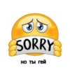 SORRY но ты гей