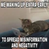 silly little cats!!! 21