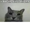 silly little cats!!! 22
