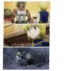 Anime - join @AnimeSti 21