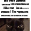 silly little cats!!! 24