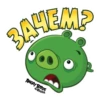 Angry Pack @angrybirdsinrussia 25