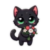BlackCat2109 24