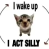 silly little cats!!! 27
