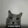 я спать короче
