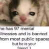 silly little cats!!! 29