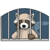 Criminal Raccoon 6
