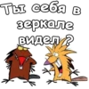 КрYтые Бобры :: @animesticks 6
