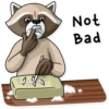 Criminal Raccoon 7