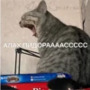 @ALLAH_MUDAZVON 9