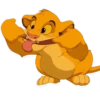 Simba 11