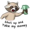 Criminal Raccoon 12