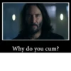 Why do you cum?