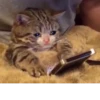 Big_mood by @fStikBot 11