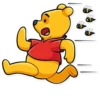 Winnie the Pooh 13