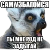 САМ УЗБАГОЙСЯ ТЫ МНЕ РОД НЕ ЗАДЫГАЙ