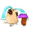 9