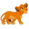 Simba 15