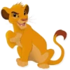 Simba 17