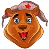 Comrade Bearski 26