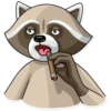 Criminal Raccoon 29