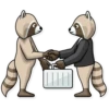 Criminal Raccoon 30