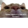 Превет здрасьте я токо чо́то проснувся