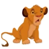 Simba 20