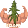 BAD CHAT LDPR 5