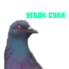 BAD CHAT LDPR 10