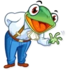 Banker Frog 13