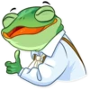 Banker Frog 16
