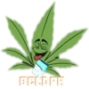 BAD CHAT LDPR 16