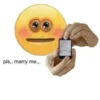 pls,, marry me,,.