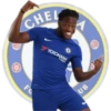 CHEL FO YOKOHAMA TYRES UB