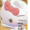 what the fuck