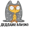 Assurance academy @stickersb2b 11