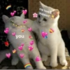 you my love & support