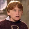 Harry Potter 8