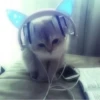 » ✨ cats !!; – 8