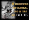 Be a wolf @stickersb2b 6