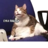 Crying cats v. 2 12