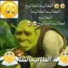 Arab Shitpost 7