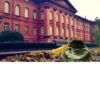 шевацитатникпак @sheva_quotes 12