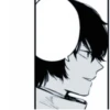—Bungo stray dogs— 13